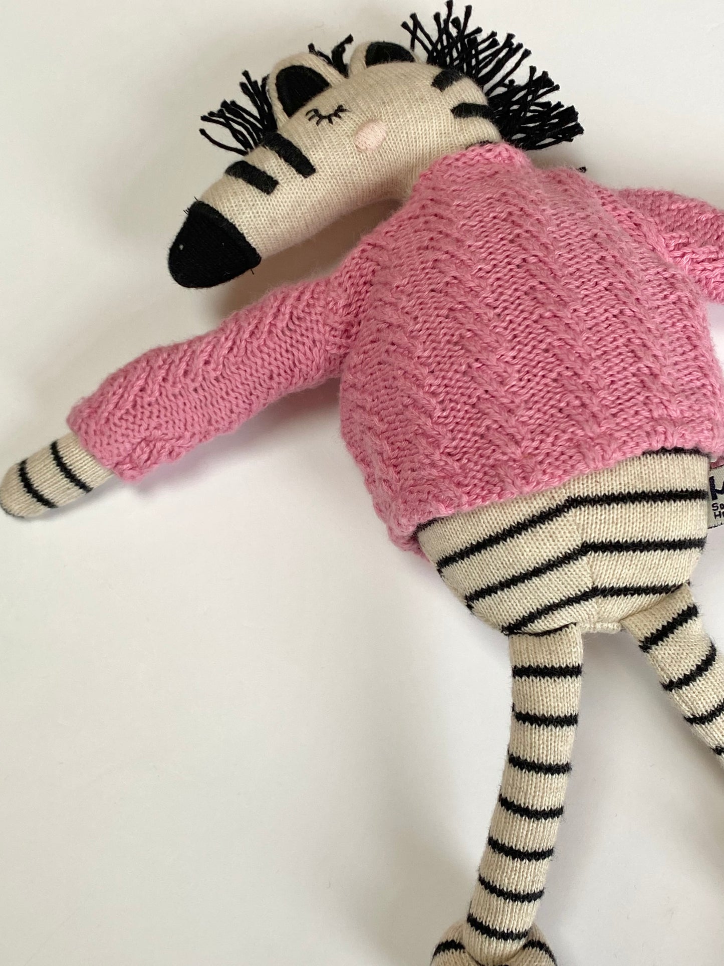 Zebra Ragdoll
